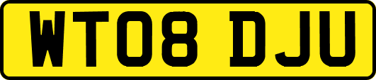 WT08DJU