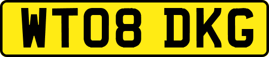 WT08DKG