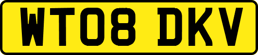 WT08DKV
