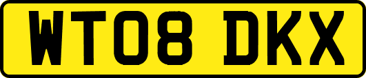 WT08DKX