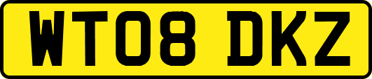WT08DKZ
