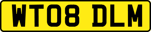 WT08DLM