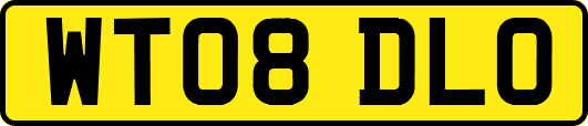 WT08DLO