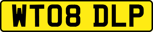 WT08DLP