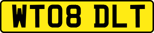WT08DLT