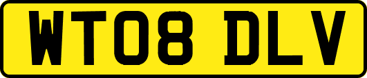 WT08DLV