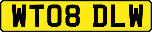 WT08DLW