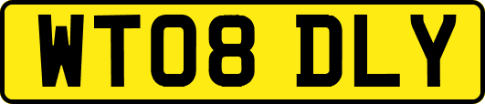 WT08DLY