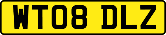 WT08DLZ
