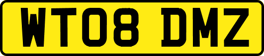 WT08DMZ