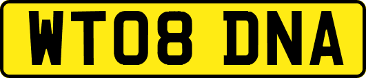 WT08DNA