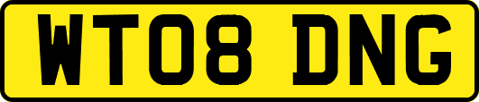WT08DNG