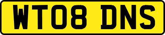 WT08DNS