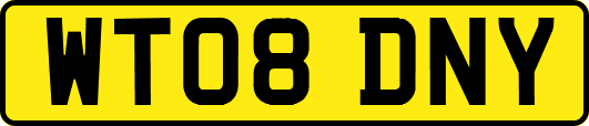 WT08DNY