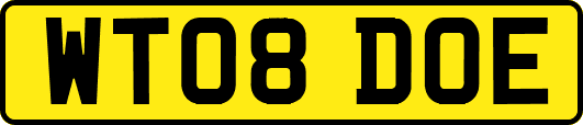 WT08DOE