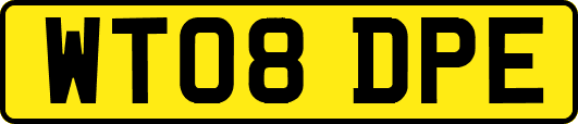 WT08DPE