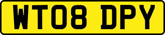 WT08DPY