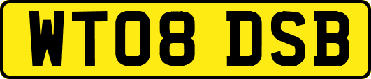 WT08DSB