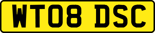 WT08DSC