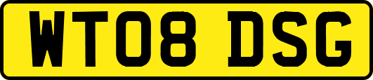 WT08DSG