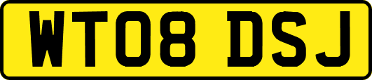WT08DSJ