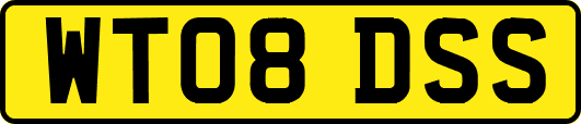 WT08DSS