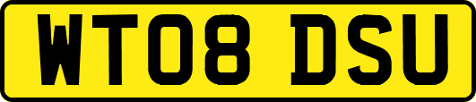 WT08DSU