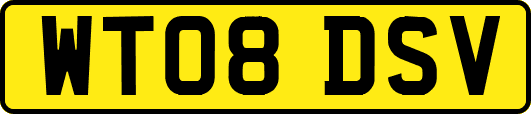 WT08DSV
