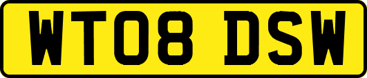 WT08DSW