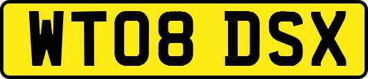 WT08DSX