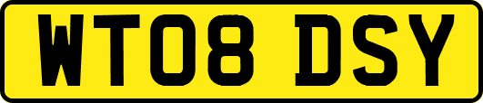 WT08DSY