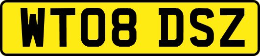 WT08DSZ