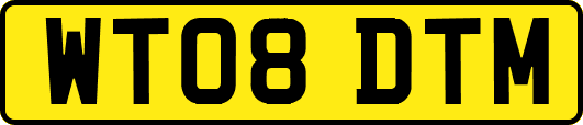WT08DTM