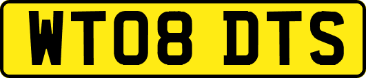 WT08DTS