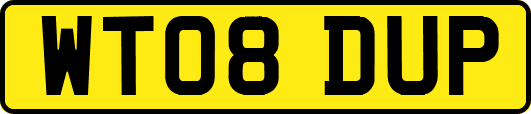 WT08DUP