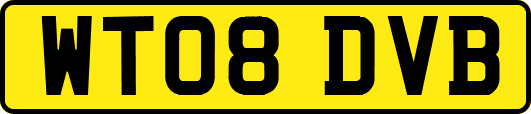 WT08DVB
