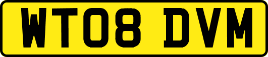 WT08DVM