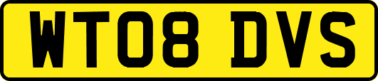 WT08DVS