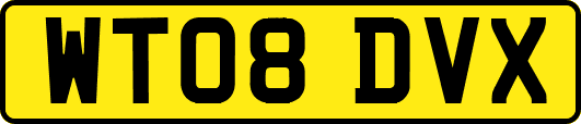 WT08DVX