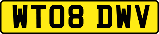 WT08DWV