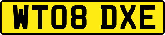 WT08DXE