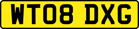 WT08DXG