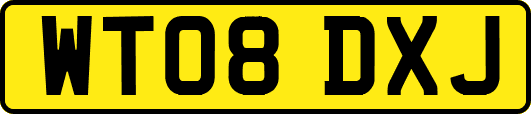 WT08DXJ