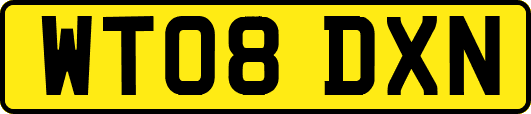 WT08DXN