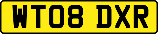 WT08DXR