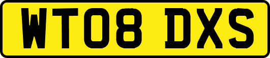 WT08DXS