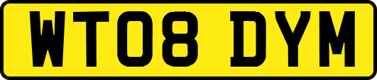 WT08DYM