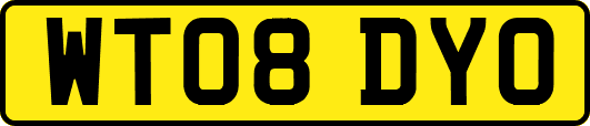 WT08DYO