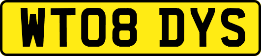 WT08DYS
