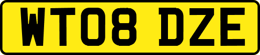 WT08DZE